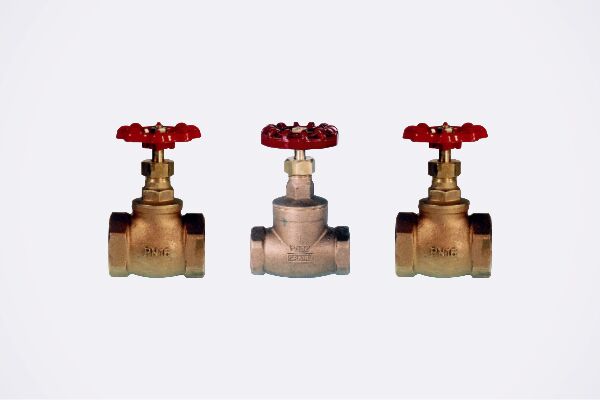 Globe Valves